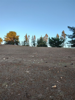 114111521-6