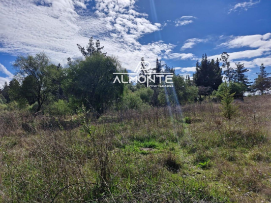 se-vende-parcela-7500-mts2-sector-cerro-negro-q-5