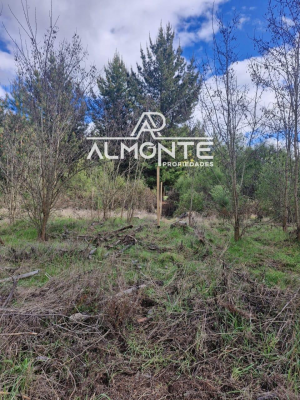 se-vende-parcela-7500-mts2-sector-cerro-negro-q-6