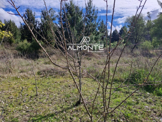 se-vende-parcela-7500-mts2-sector-cerro-negro-q-7