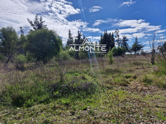 se-vende-parcela-7500-mts2-sector-cerro-negro-q-8