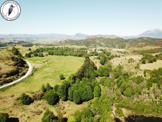 se-vende-campo-en-6-lagunas-7