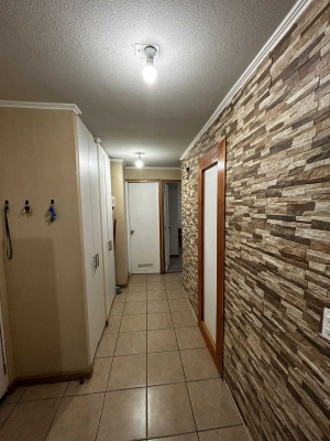 departamento-las-3-pascualas,-concepcion-(162675)-3