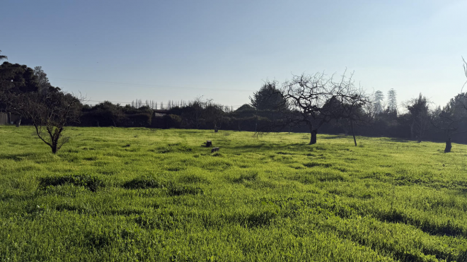 venta-terreno---sitio-5000mts-talagante-3