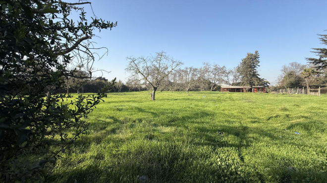 venta-terreno---sitio-5000mts-talagante-4