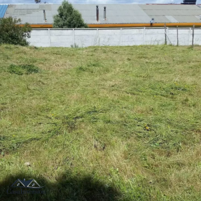 sitio-pehuen-6