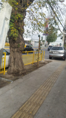 proyecto-comercial-inmobiliario-locales-comerci-6