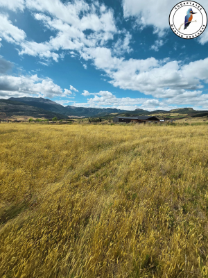 se-vende-parcela-coyhaique-alto-9