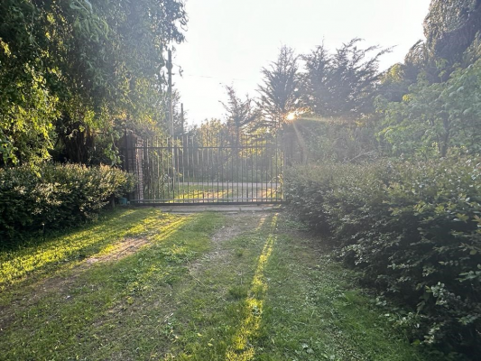 venta-parcela-en-linares-8