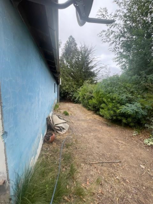 -11