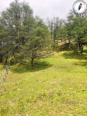 se-vende-terreno-camino-lago-atravesado-5