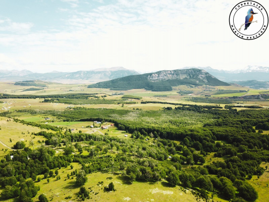 parcela-de-6ha-en-la-patagonia-4