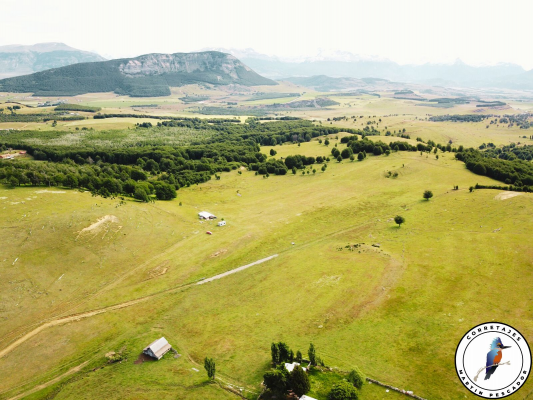 parcela-de-6ha-en-la-patagonia-7