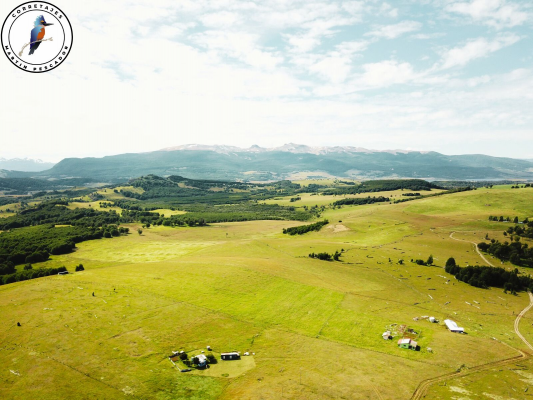 parcela-de-6ha-en-la-patagonia-8