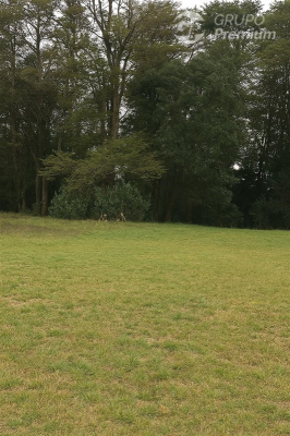 114076450-3