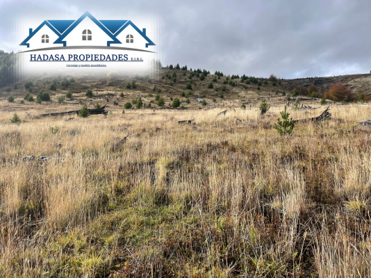 parcela-5000-m²-con-vista-al-lago-frio-en-coyh-8