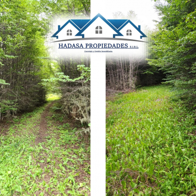 parcela-14000-m²-en-coyhaique-con-servicios-ur-4