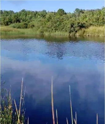 -4