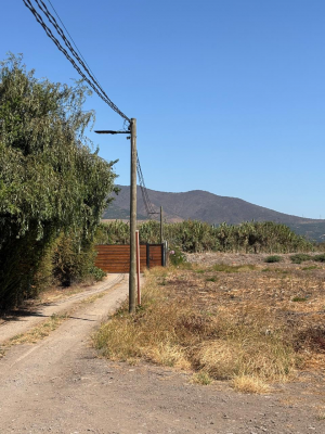 parcela-5000m²-en-quillota-con-agua-y-luz-4