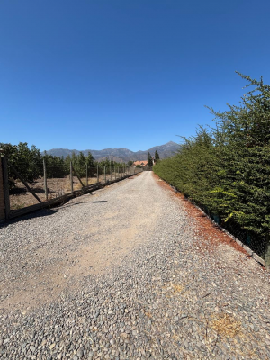 parcela-5000m²-en-quillota-con-agua-y-luz-7