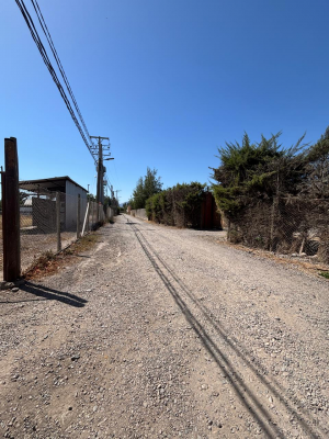 parcela-5000m²-en-quillota-con-agua-y-luz-9