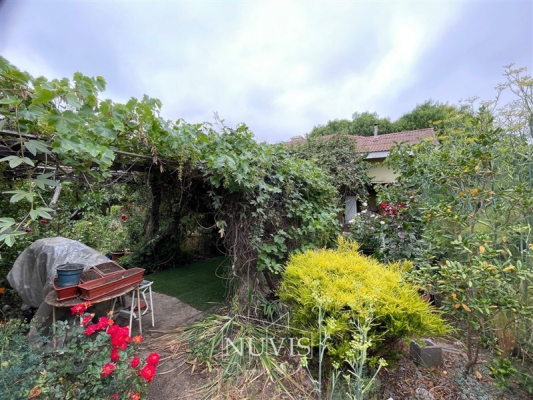 -17