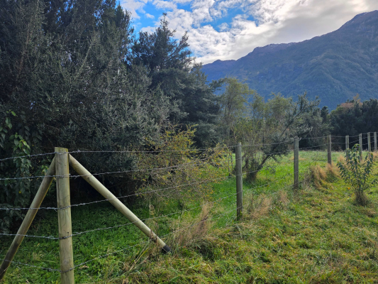 terreno-ideal-para-inversion-y-descanso-(163427)-5