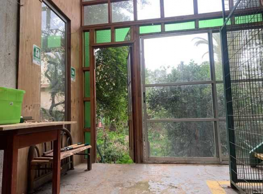 casa-jardin-en-el-corazon-del-cerro-alegre-(162-3
