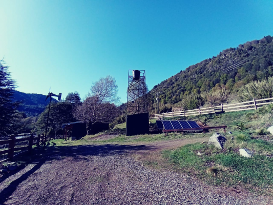 p20252329xgw-7