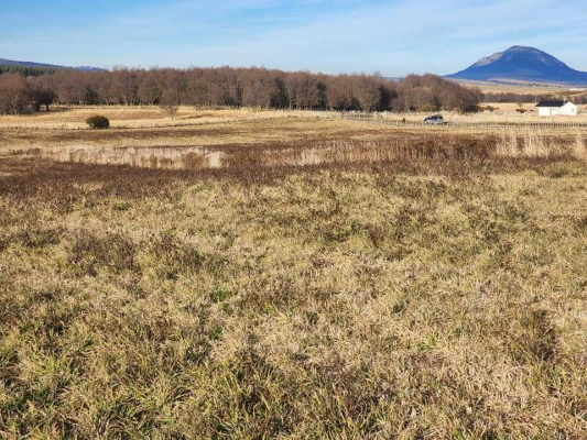 cocyhaique---valle-simpson-(63621)-7