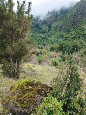 venta-de-macrolote-2-ha-exclusivo-con-orilla-d-5