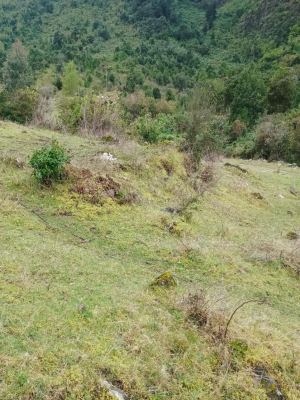venta-de-macrolote-2-ha-exclusivo-con-orilla-d-7