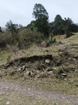 venta-de-macrolote-2-ha-exclusivo-con-orilla-d-8