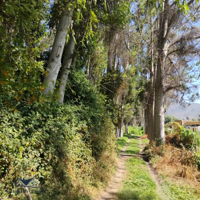parcela-en-el-paico-3