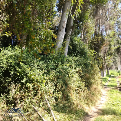 parcela-en-el-paico-4