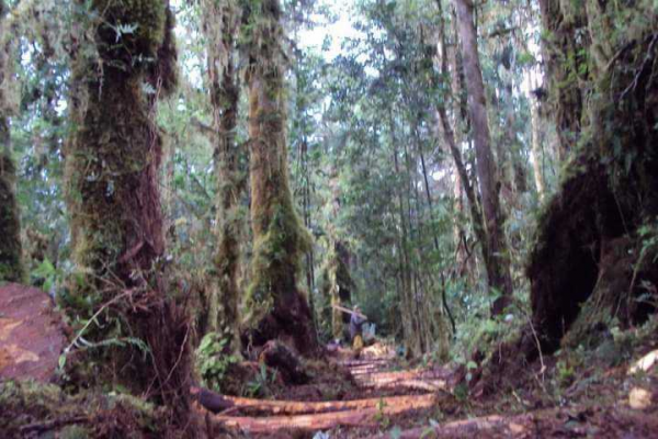 peninsula-sisquelan-(63230)-4