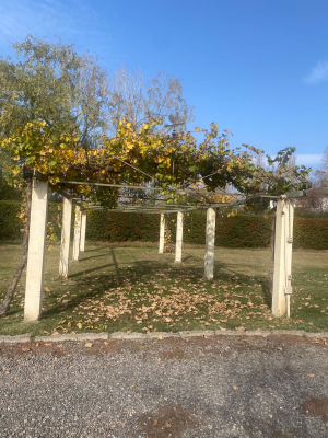 -7