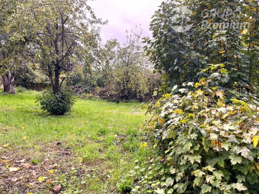 104076506-4