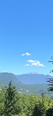 -8