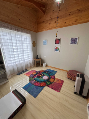 parcela-con-casa-entre-linares-y-panimavida-(16-8