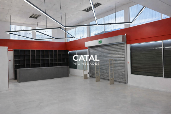 local-comercial-amplio-5