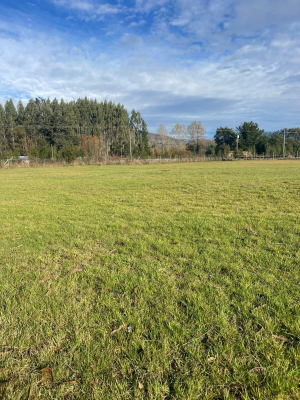513669-4
