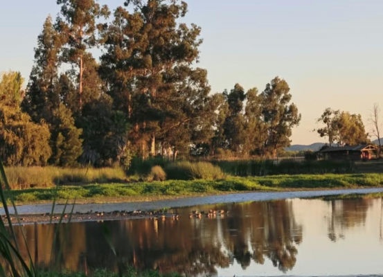 vendo-casa-con-acceso-al-lago-rapel-3