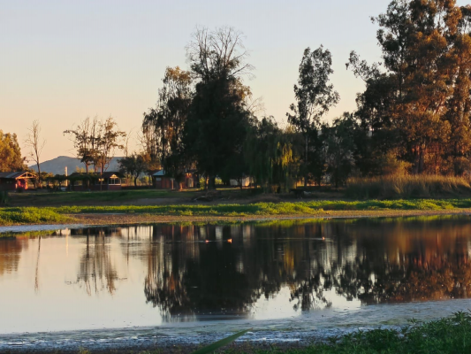 venta-de-cabanas-en-lago-rapel-con-acceso-priva-5