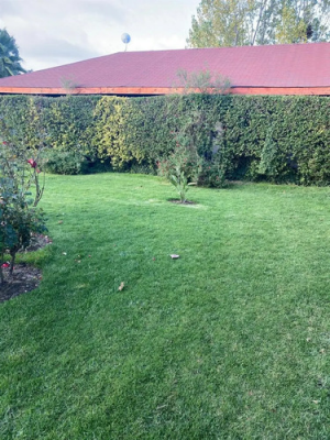 parcela-en-venta-en-melipilla-5-dorm-3-banos-6