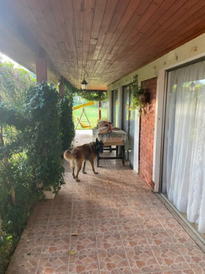 parcela-en-venta-en-melipilla-5-dorm-3-banos-9
