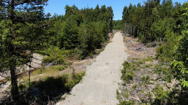 parcela-con-bosque-en-dalcahue,-a-20-min-del-ae-5