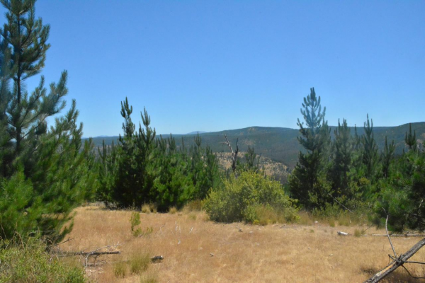 parcela-semi-despejada-con-vista-al-valle-en-c-4