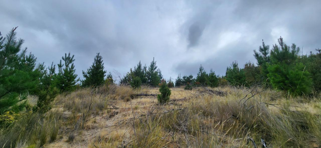 parcela-semi-despejada-con-vista-al-valle-en-c-5