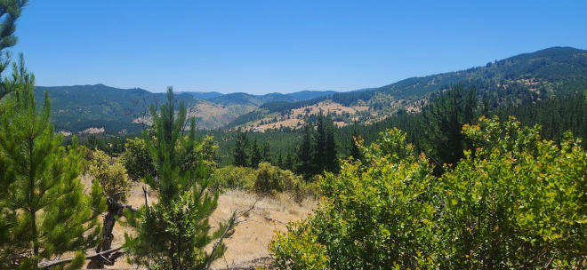 parcela-semi-despejada-con-vista-al-valle-en-c-7
